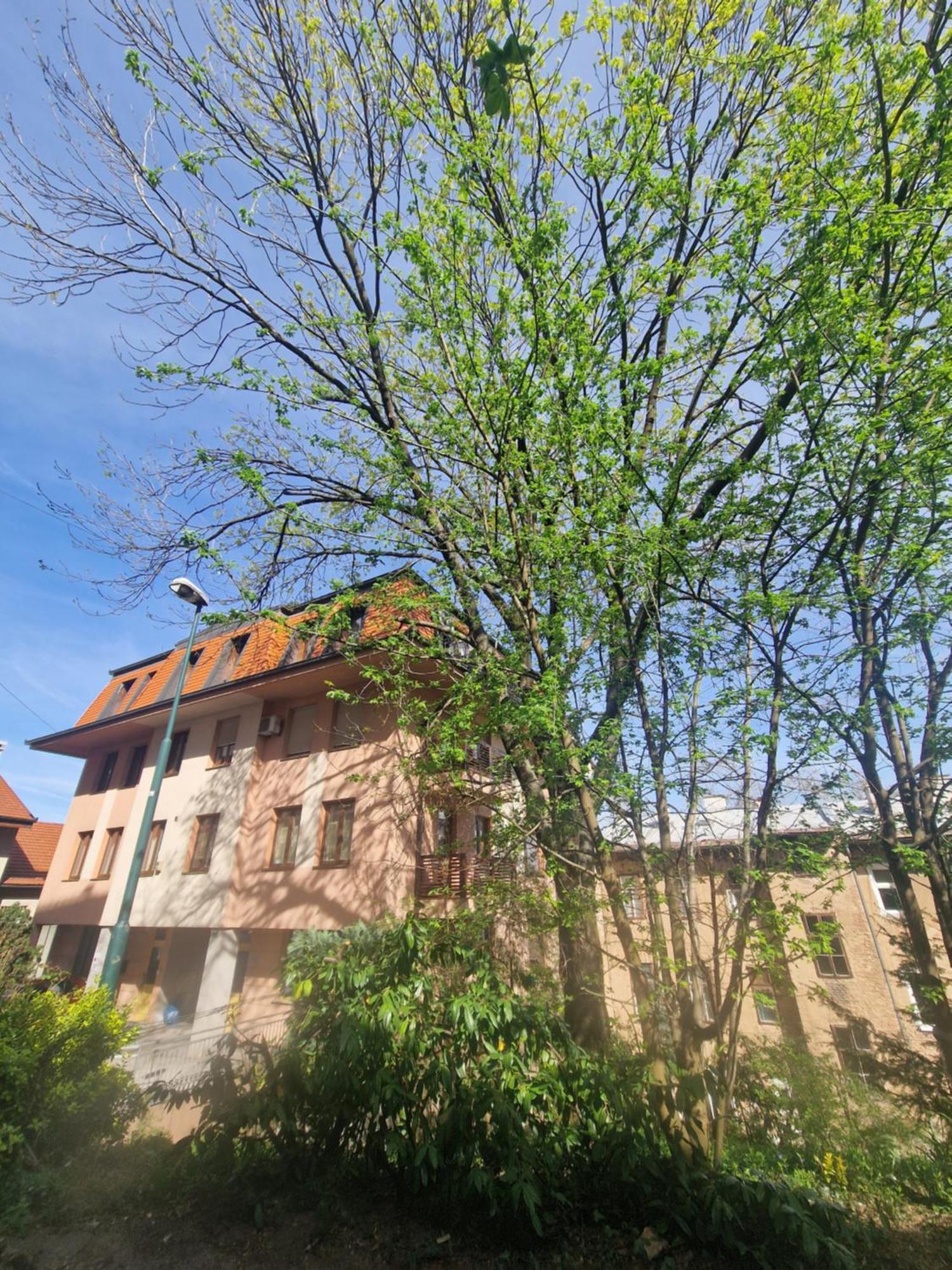 7 Brothers Apartment Sarajevo Exterior foto